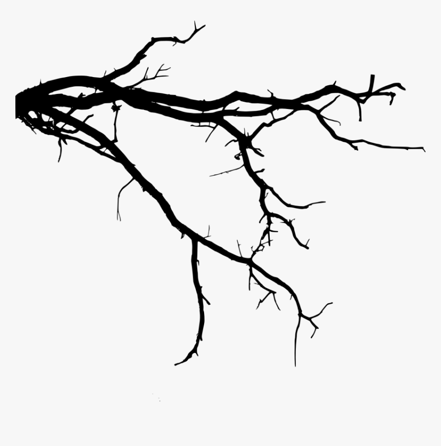 Free Png Tree Branch Png Images Transparent - Tree Branch Silhouette Png, Png Download