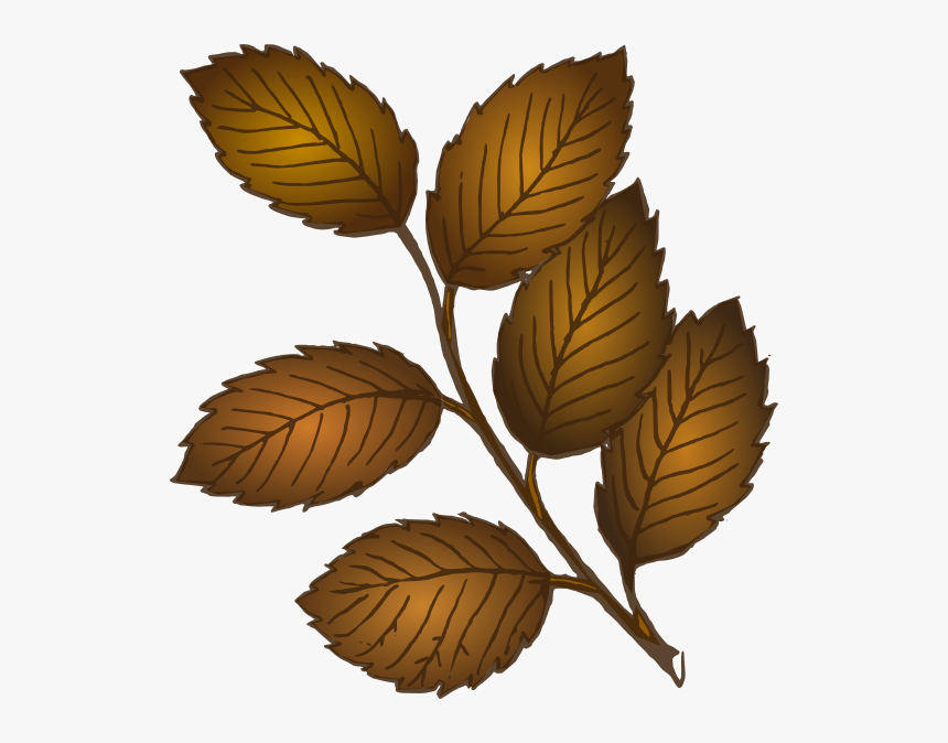 Fall Leaves Branch Svg Clip Arts - Brown Leaves Clipart, HD Png Download