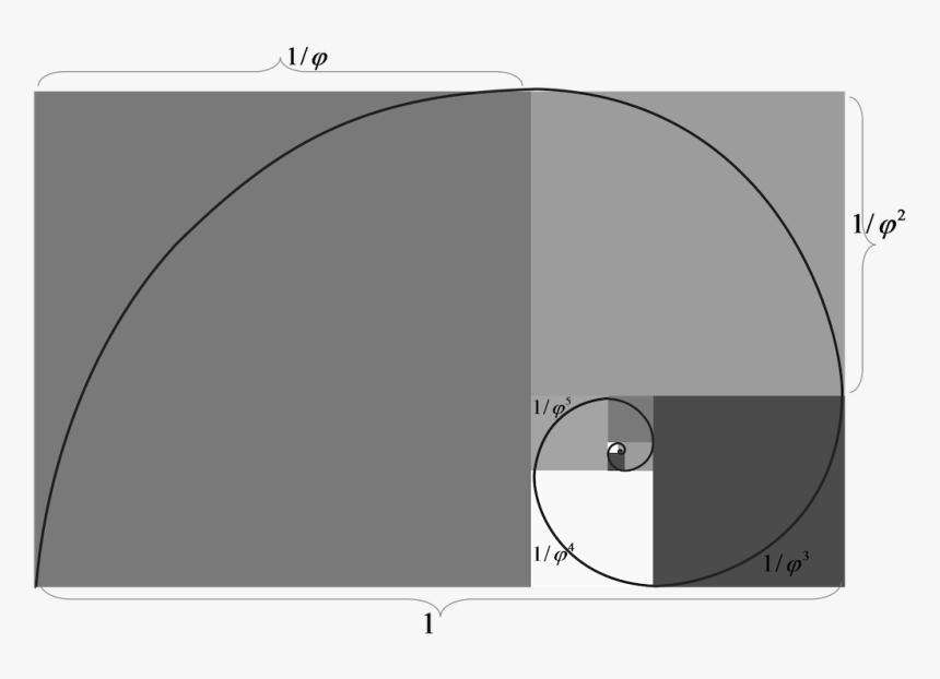 The Golden Ratio Is Everywhere - Circle, HD Png Download