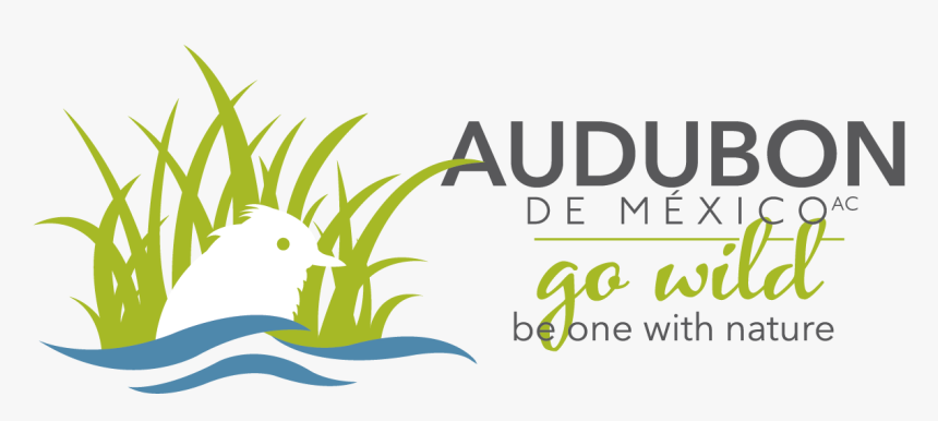 Audubon De Mexico - Estratégia Saúde Da Família, HD Png Download