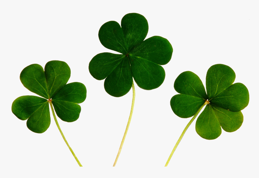 Desktop Wallpaper For Good Luck, HD Png Download