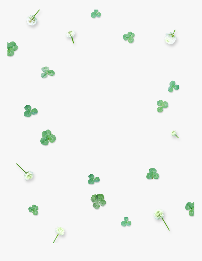 This Graphics Is Green Cute Four Leaf Clover Floating - Poster, HD Png Download