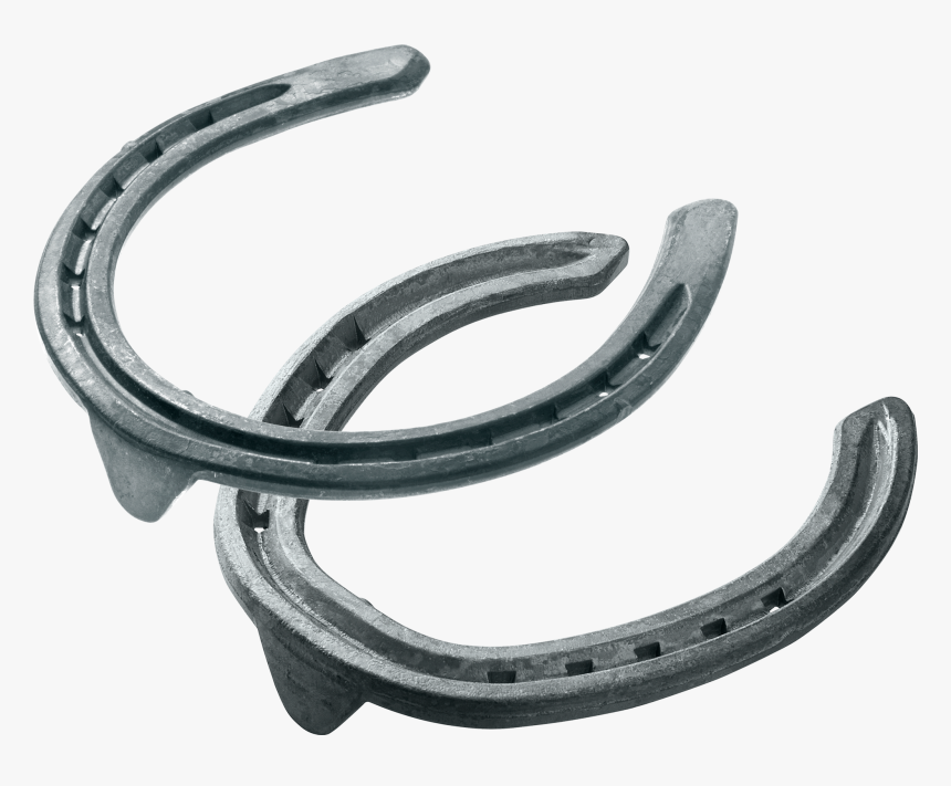 Transparent Horseshoe Png - Circle, Png Download