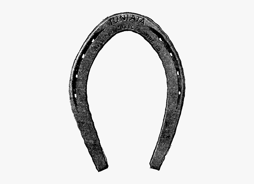 Mustang Horseshoe Clip Art - Illustration, HD Png Download