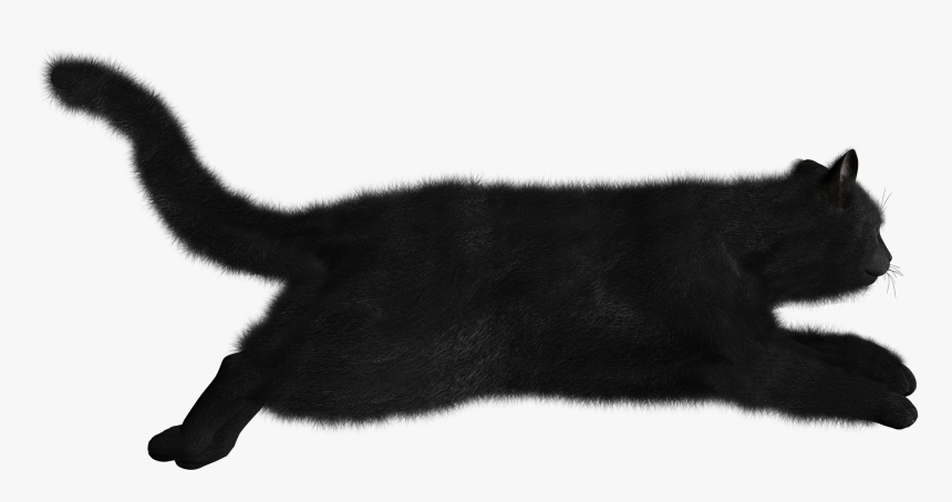 Черная Кошка Png, Transparent Png