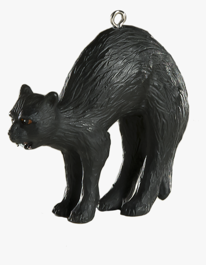 Badger, HD Png Download