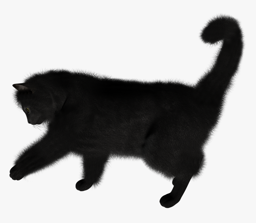 Black Cat Png, Transparent Png