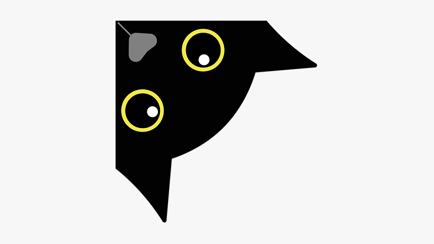 Black Cat Is Curious, Black Cat, Curious Cat - Любопытно Пнг, HD Png Download