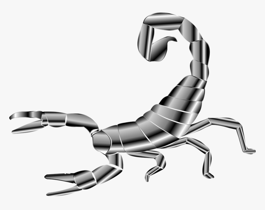 Scorpion Hd Wallpaper Download