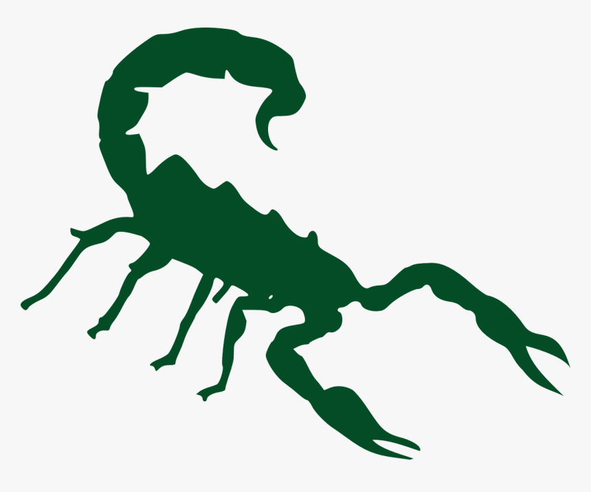 Scorpion Cartoon Transparent, HD Png Download