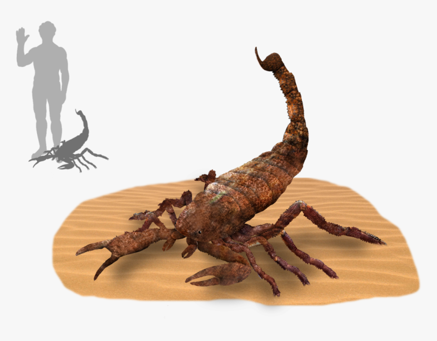 Brontoscorpio Size, HD Png Download