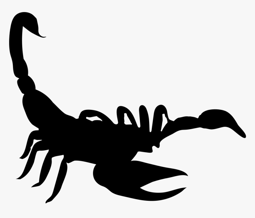 Scorpion Shape - Scorpion Icon, HD Png Download