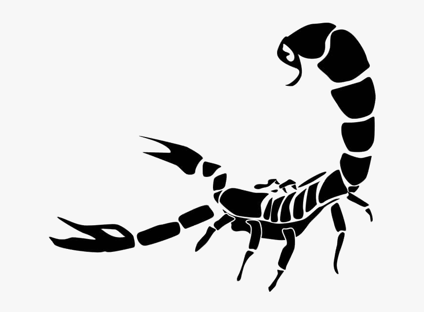 Scorpio Tattoo Png Photo - Scorpio Tattoo Png, Transparent Png