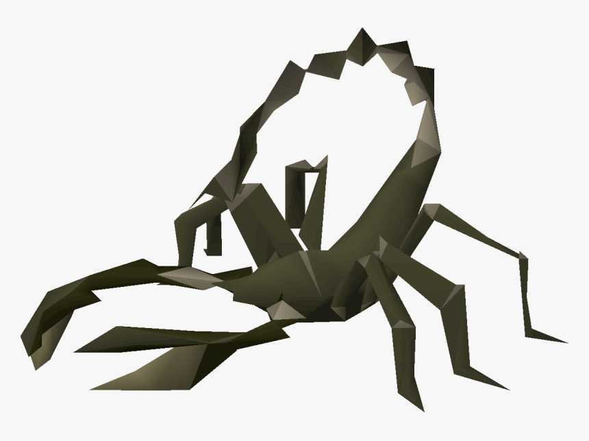 Insect, HD Png Download