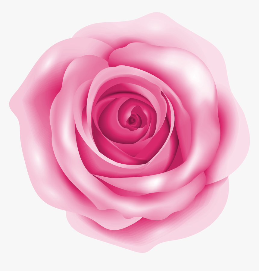 Rose Pink Clip Art - Rose Clipart Pink Png, Transparent Png