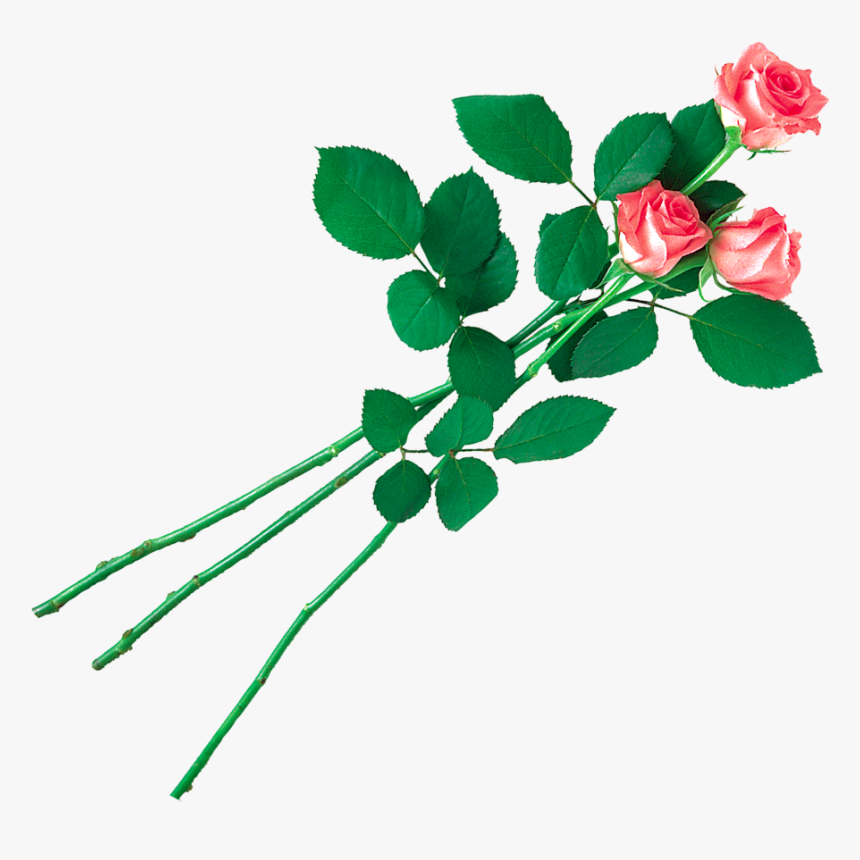 Transparent Clipart Image Pink Rose Png With Leaf - Yellow Colour Rose Flower Png Hd, Png Download