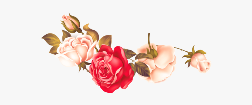 Rose Png Flower Image Free Download Searchpng - Garden Roses, Transparent Png