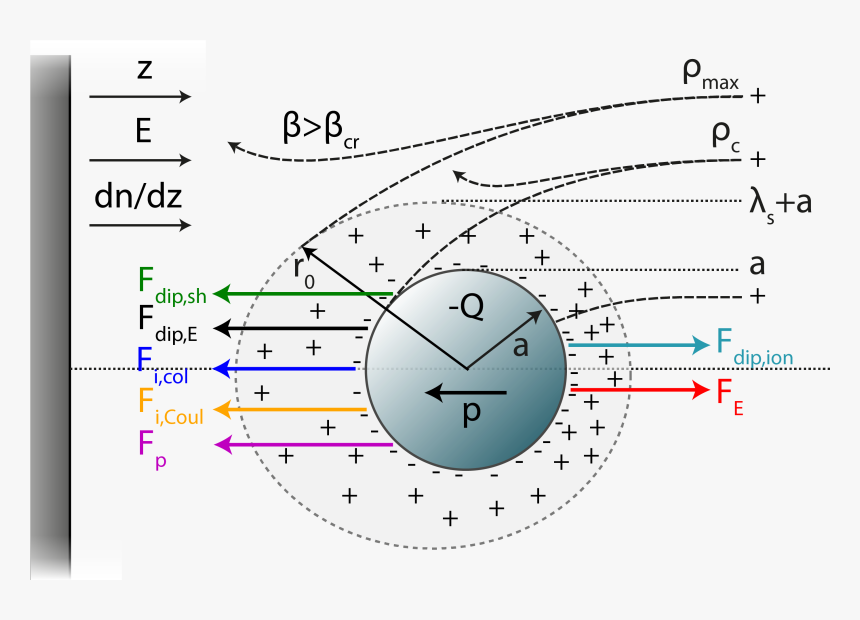 Circle, HD Png Download