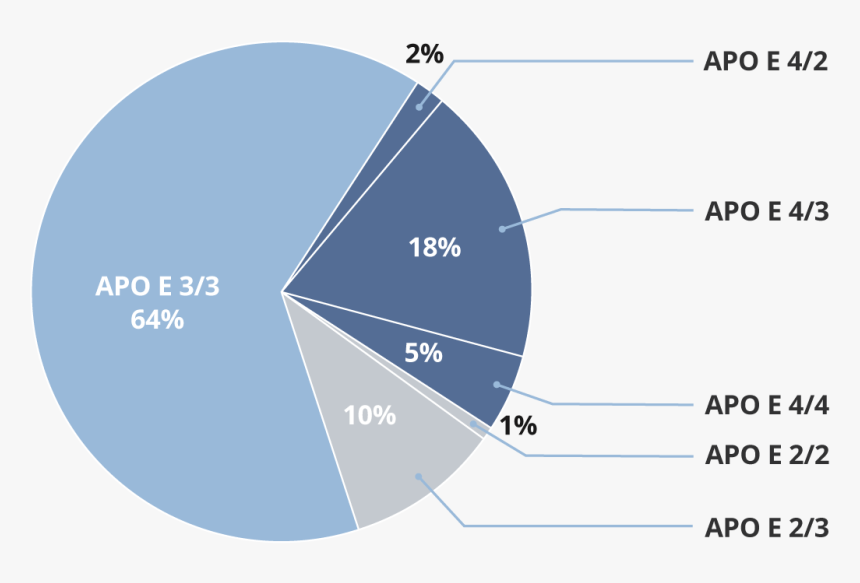 Pie Chart Showing Percentages Of Apo E Gene Types - Apoe Genotype, HD Png Download