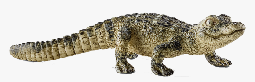 Rotate Resize Tool Drawing - Schleich Crocodile Babies, HD Png Download