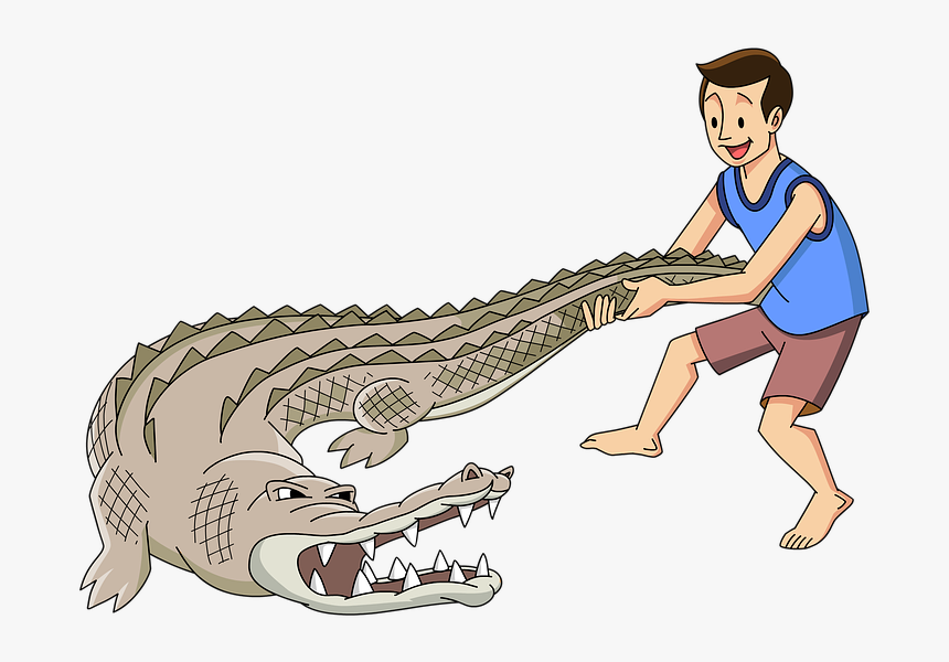 Man, Wrestle, Crocodile, Alligator, Strong, Male, Young - Alligator Wrestling Png, Transparent Png