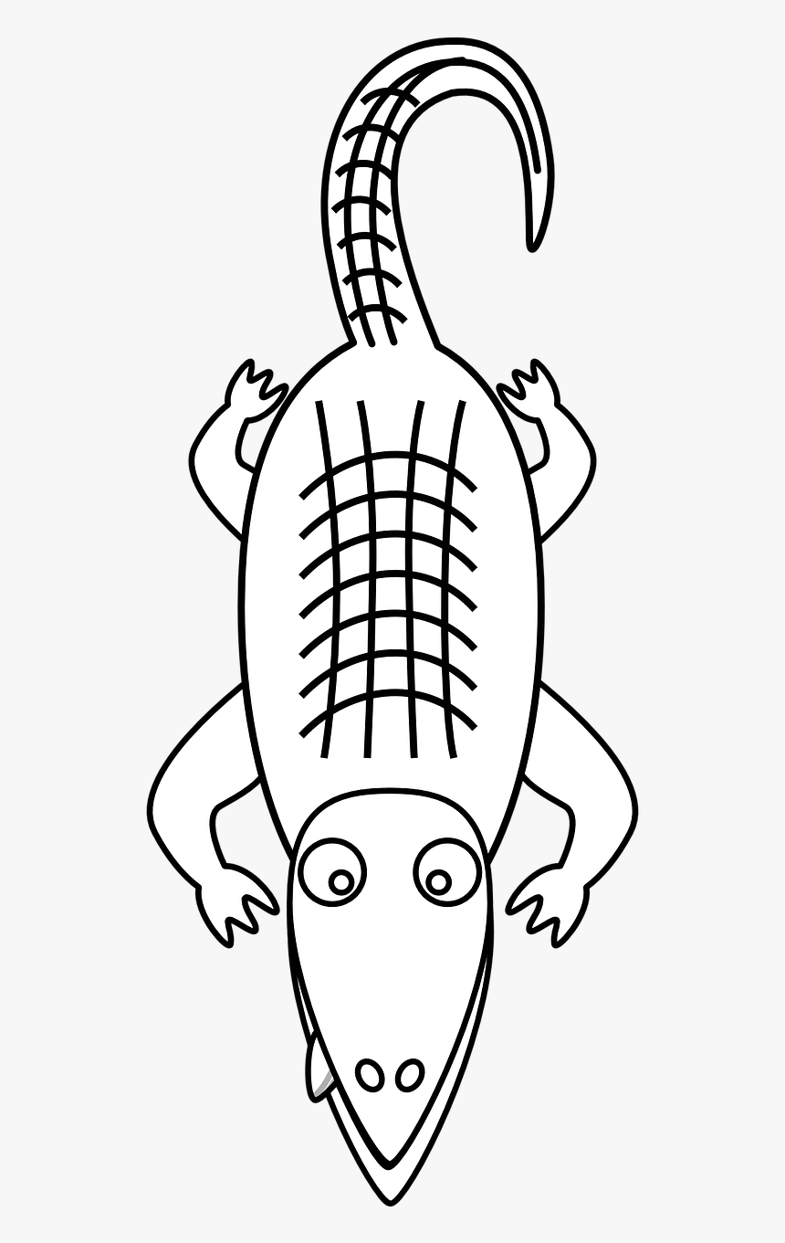 Pictures Of Alligator Free Download Clip Art Png - Alligator Clip Art, Transparent Png