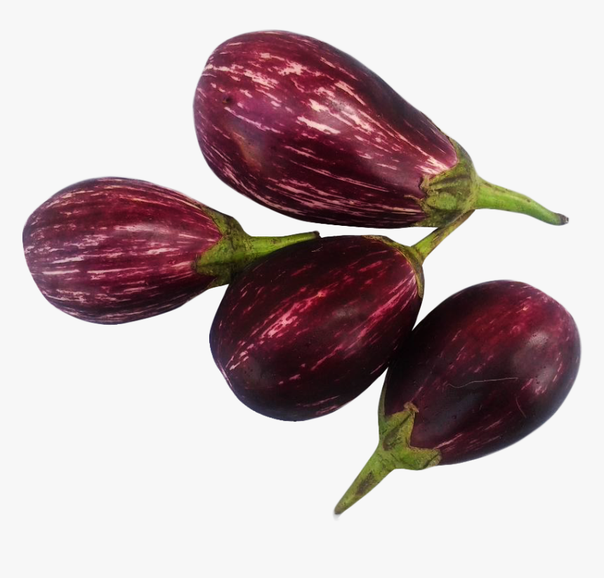 Fig Hd Transparent Background, HD Png Download