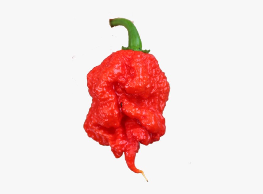 Carolina Reaper Png, Transparent Png
