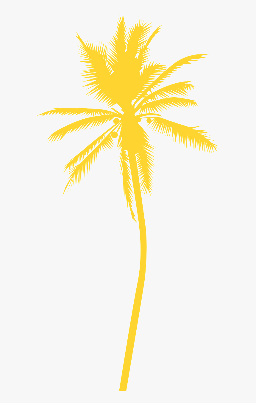 Attalea Speciosa, HD Png Download