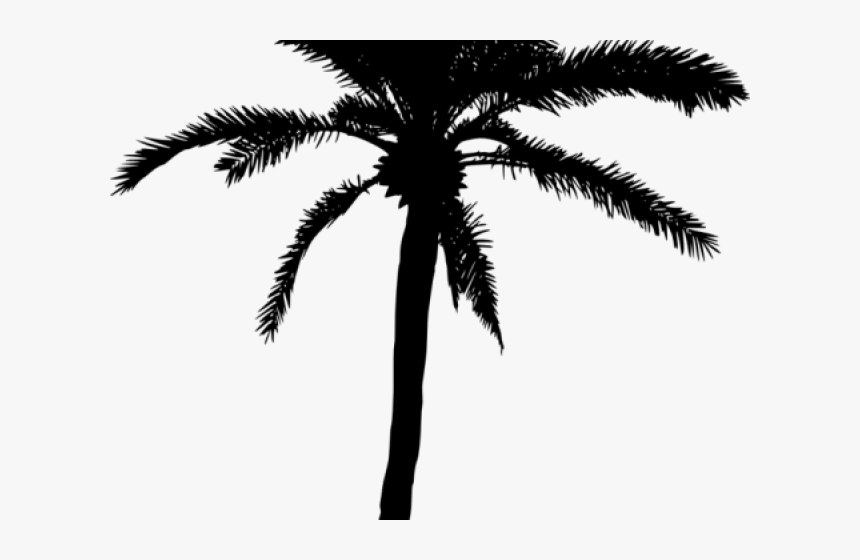 Palm Tree Silhouette Png - Palm Tree Vector Png, Transparent Png