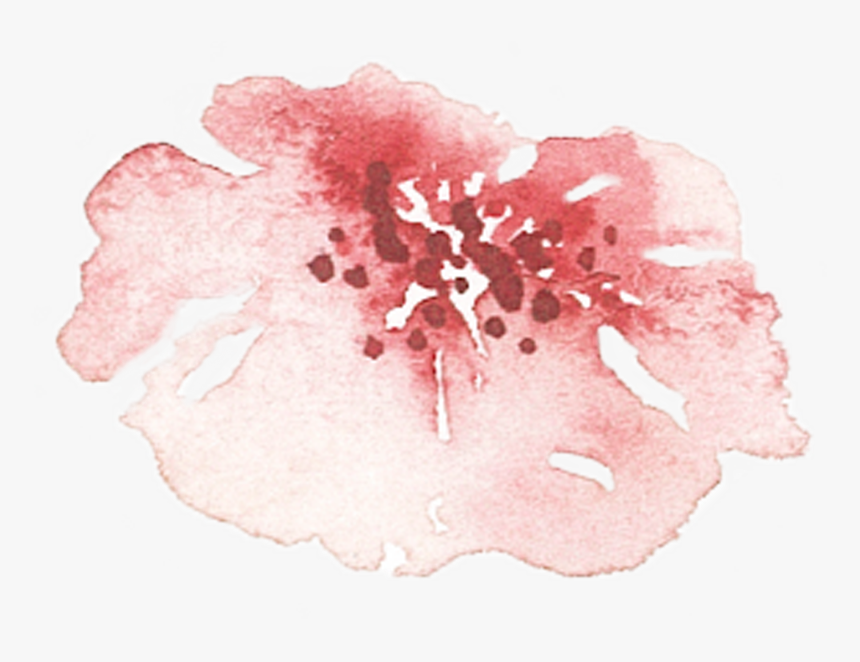 Of A Friends Wedding In The Summer Of - Cherry Blossom, HD Png Download