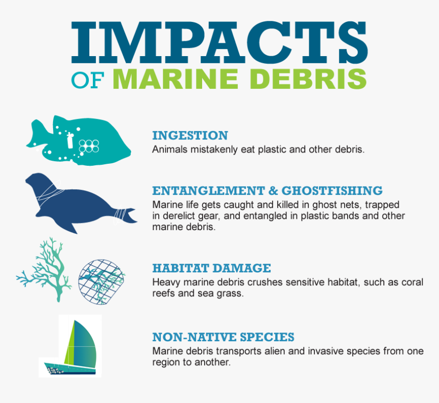 Impacts Of Marine Debris - Impacts Of Marine Litter, HD Png Download