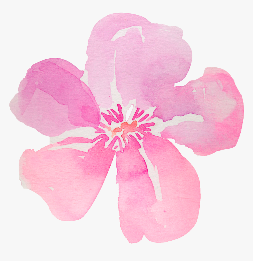 Flowers Hibiscus Png Watercolor , Png Download - Water Color Flower Free, Transparent Png