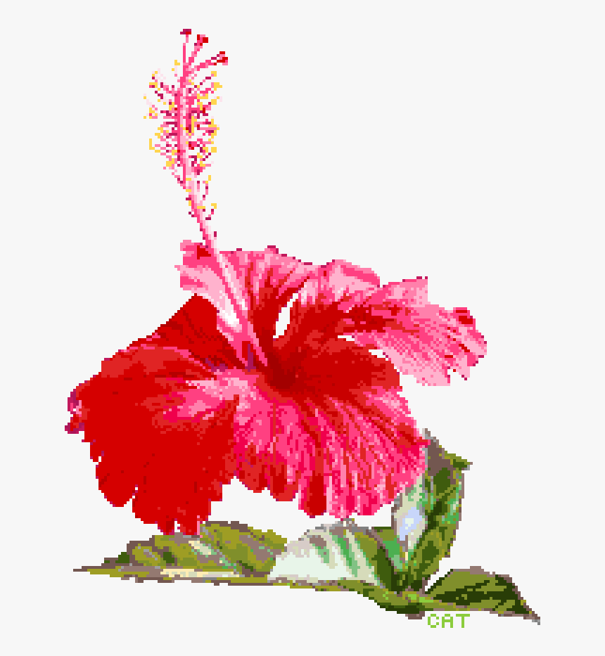 Pixilart By Catsorfries Transparent Background - Hawaiian Hibiscus, HD Png Download