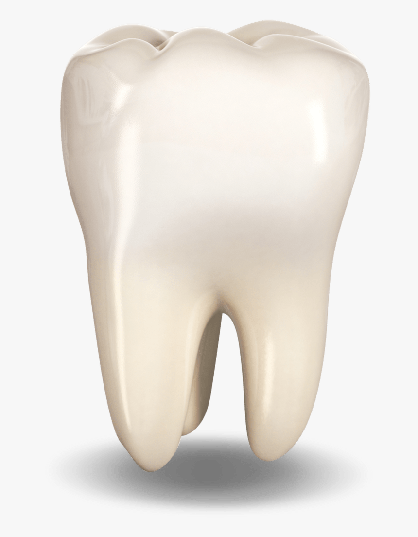 Extracted Tooth Ocala, Fl - Hearing, HD Png Download