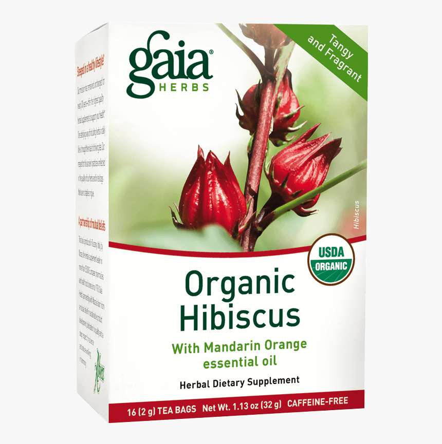 Bronchial Wellness, HD Png Download