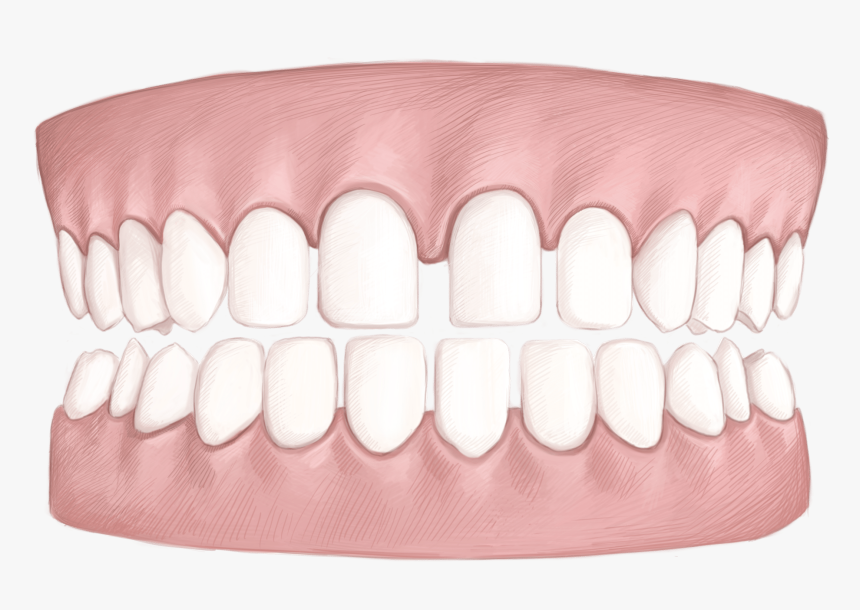 Bench, HD Png Download