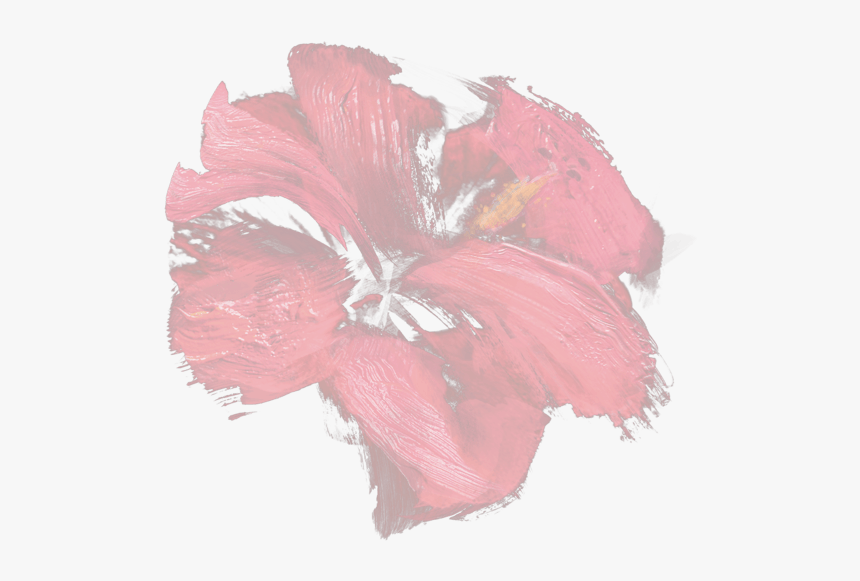 Chinese Hibiscus, HD Png Download