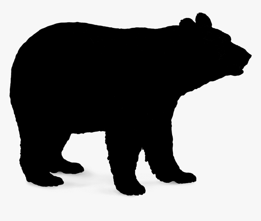 Polar Bear Brown Bear American Black Bear Vector Graphics - Vector Black Bear Png, Transparent Png