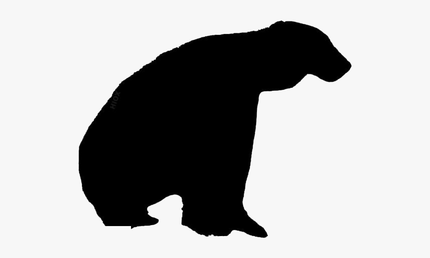 Polar Bear Png Free Download - American Black Bear, Transparent Png