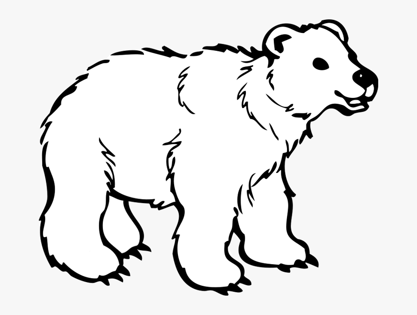 Polar Bear Hd Image Clipart - Polar Bear Black And White, HD Png Download