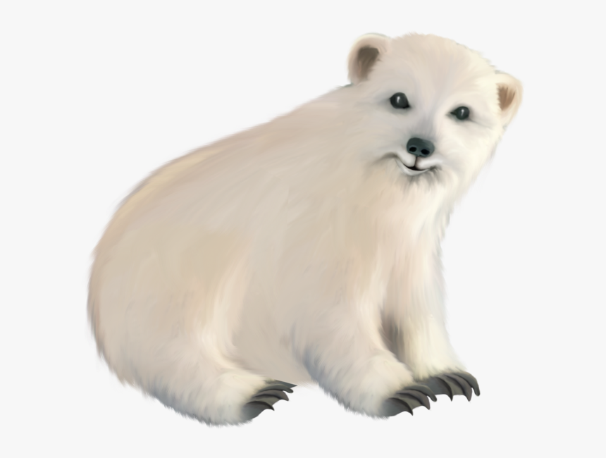 23477 - Polar Bear, HD Png Download