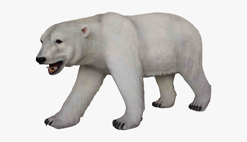 Polar Bear, HD Png Download