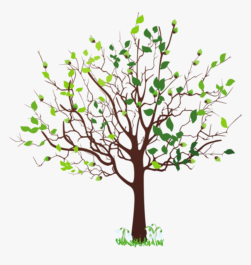 Image Tree, HD Png Download