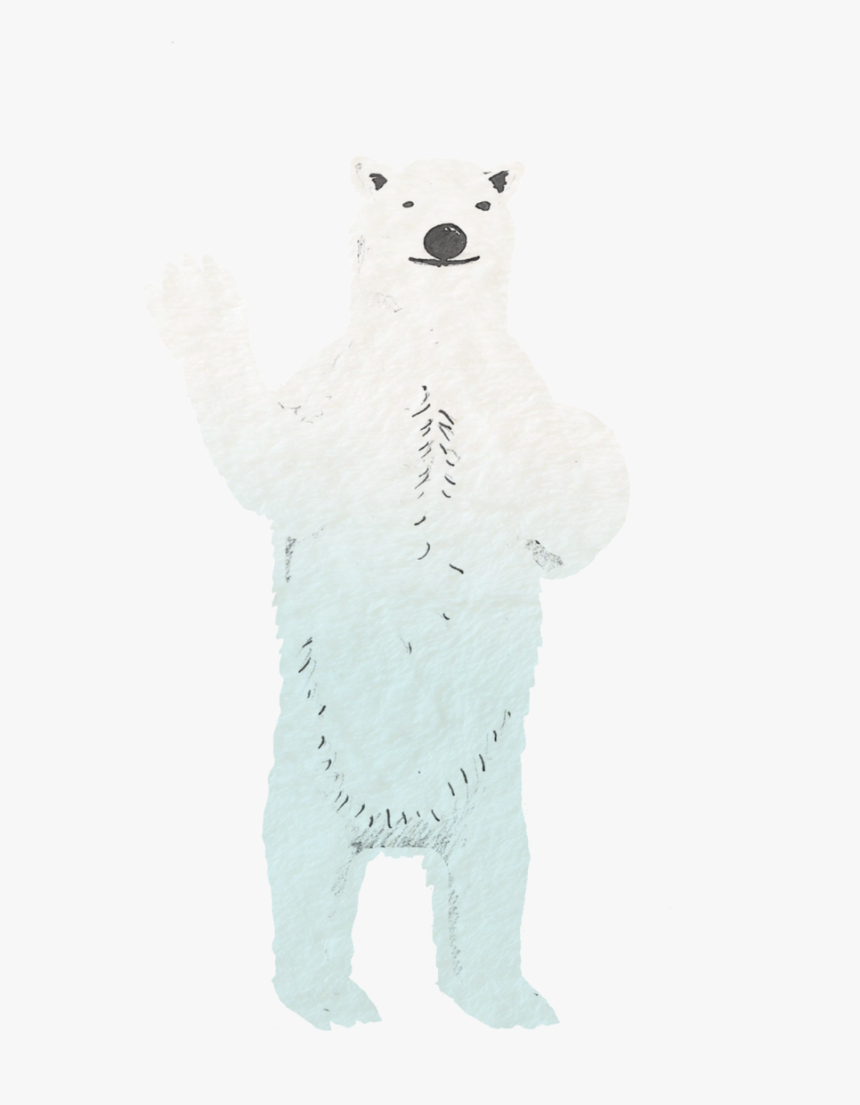 Polar Bear, HD Png Download