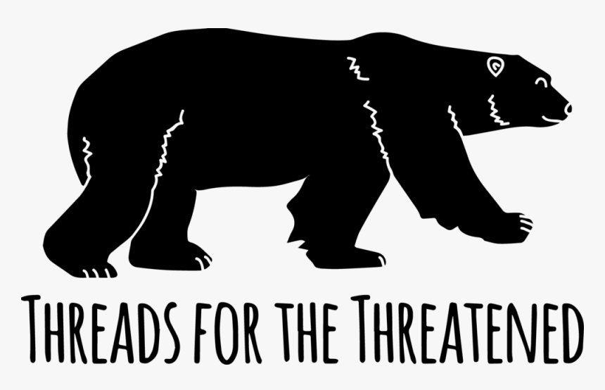 Transfer Baby Polar Bear - American Black Bear, HD Png Download