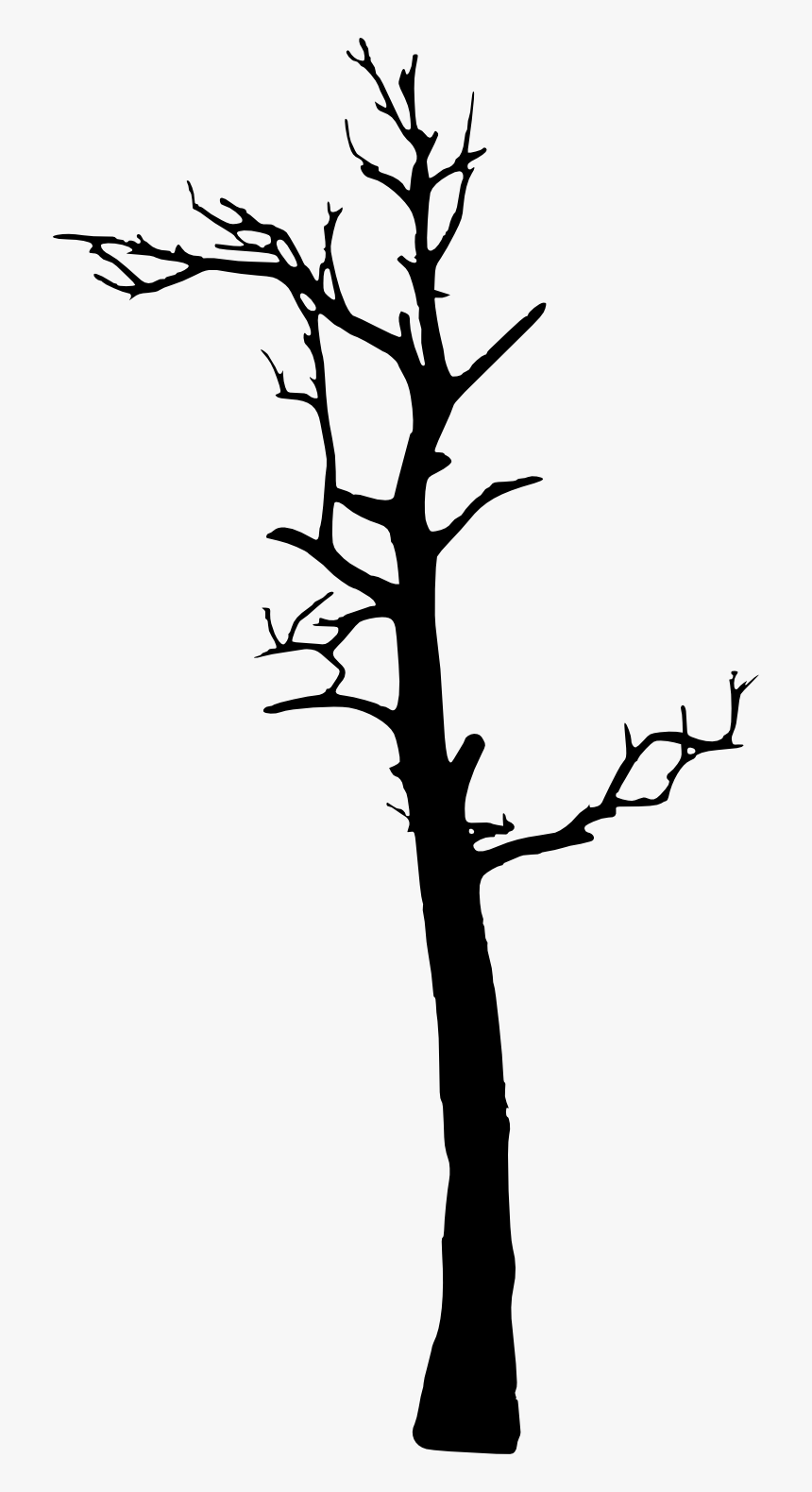 Tree Woody Plant Clip Art - Tree Silhouette Art Transparent, HD Png Download