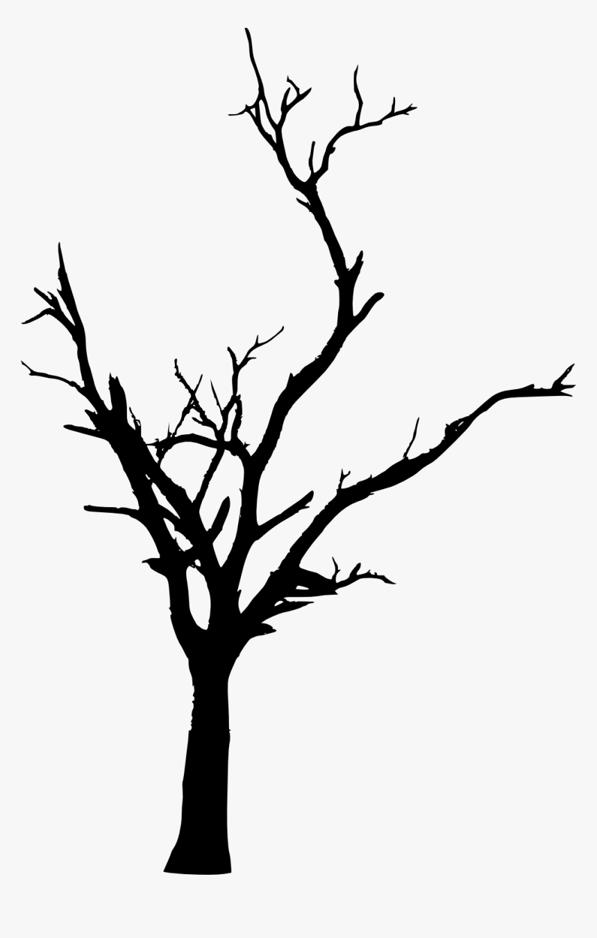 Tree Woody Plant Branch Twig Clip Art - Transparent Dead Tree Silhouette, HD Png Download