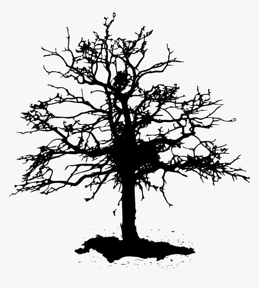 Deadtree Logo-01, HD Png Download