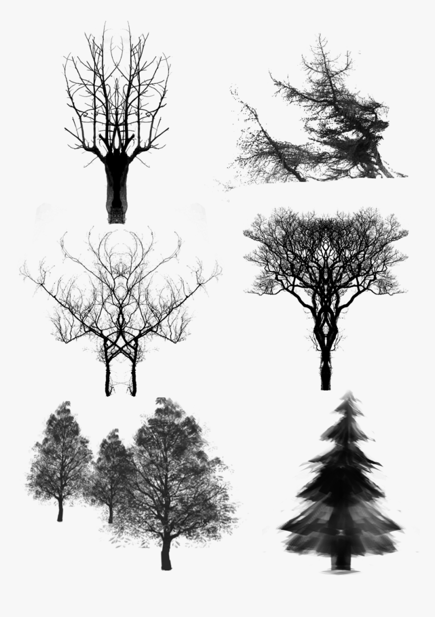 Trees Ink Dead Wood Png And Psd - ต้นไม้ ภาพ วาด ขาว ดำ, Transparent Png